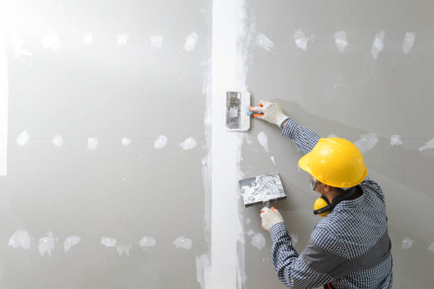 Best Mold Removal for HVAC Installations  in Ladonia, AL