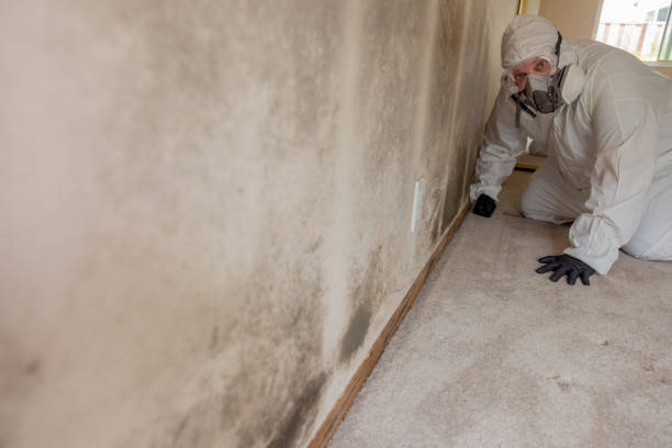 Best Industrial Mold Remediation  in Ladonia, AL